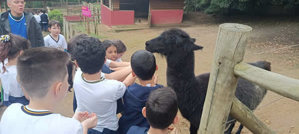 Bicho Mania 2022